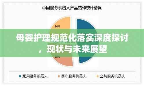 母婴护理规范化落实深度探讨，现状与未来展望