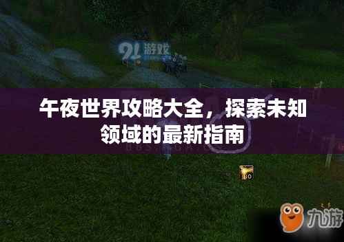 午夜世界攻略大全,探索未知领域的最新指南