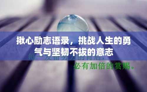 揪心励志语录,挑战人生的勇气与坚韧不拔的意志