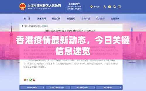 香港疫情最新动态，今日关键信息速览