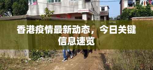 香港疫情最新动态,今日关键信息速览