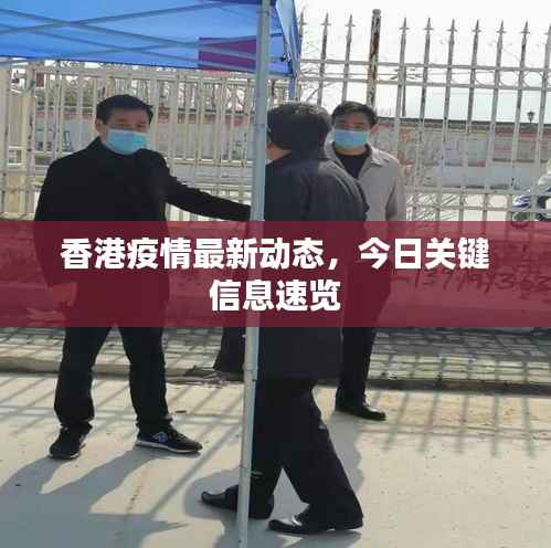 香港疫情最新动态,今日关键信息速览