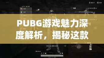 PUBG游戏魅力深度解析，揭秘这款热门游戏的吸引力之源