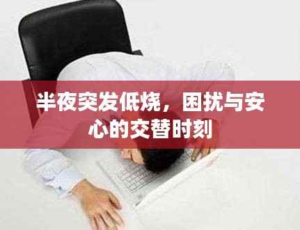 半夜突发低烧，困扰与安心的交替时刻