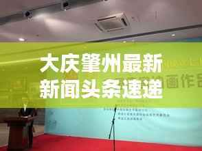 大庆肇州最新新闻头条速递