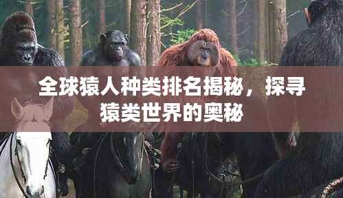 千辛万苦 第5页