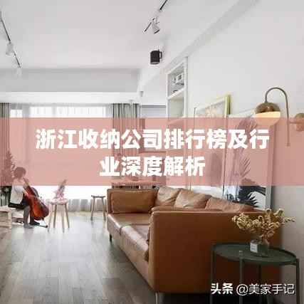 浙江收纳公司排行榜及行业深度解析