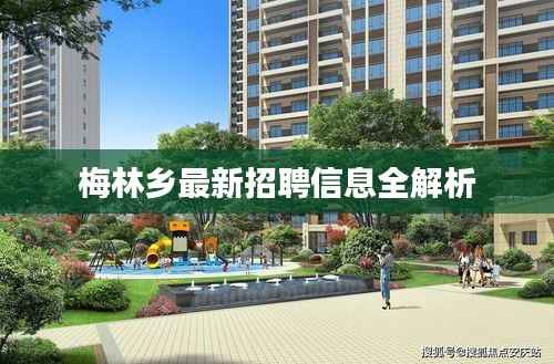 梅林乡最新招聘信息全解析