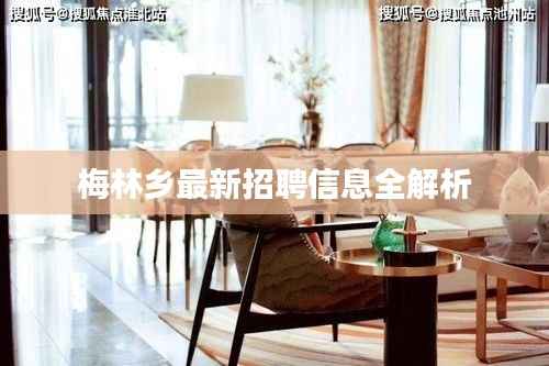 梅林乡最新招聘信息全解析