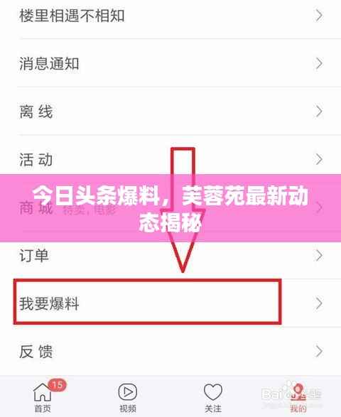 司空见惯 第4页
