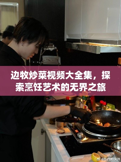 边牧炒菜视频大全集,探索烹饪艺术的无界之旅