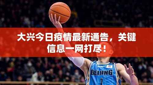 大兴今日疫情最新通告，关键信息一网打尽！