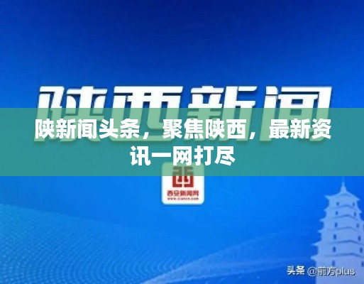 云龙井蛙 第5页