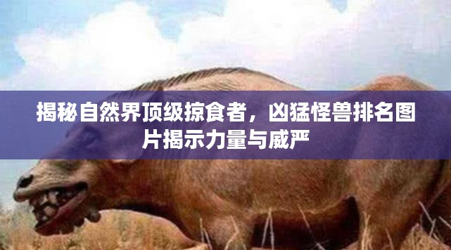 揭秘自然界顶级掠食者,凶猛怪兽排名图片揭示力量与威严