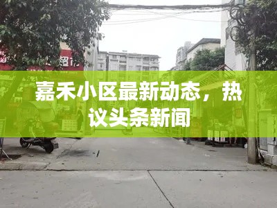 嘉禾小区最新动态，热议头条新闻