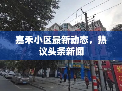 嘉禾小区最新动态,热议头条新闻
