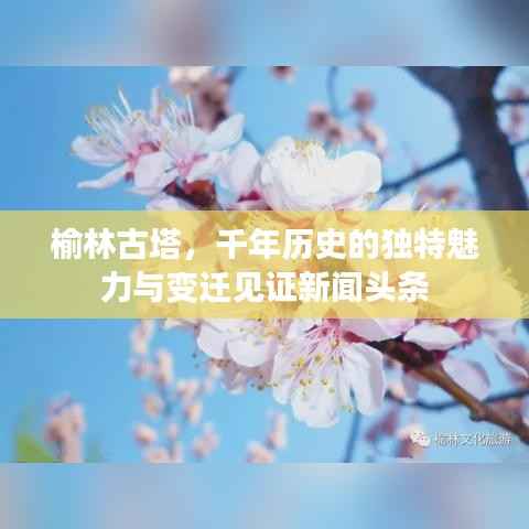 榆林古塔,千年历史的独特魅力与变迁见证新闻头条