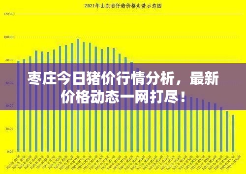 枣庄今日猪价行情分析,最新价格动态一网打尽!