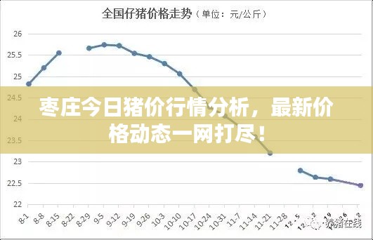 枣庄今日猪价行情分析,最新价格动态一网打尽!