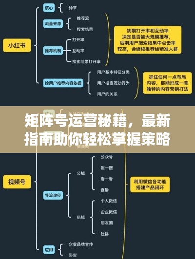 矩阵号运营秘籍,最新指南助你轻松掌握策略!