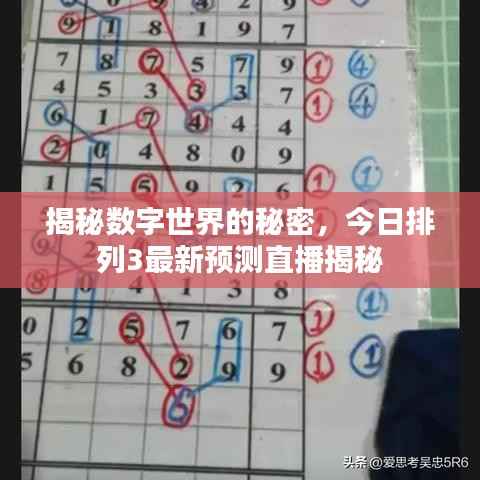 揭秘数字世界的秘密,今日排列3最新预测直播揭秘