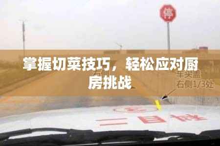 掌握切菜技巧，轻松应对厨房挑战