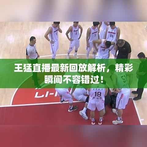 王猛直播最新回放解析，精彩瞬间不容错过！