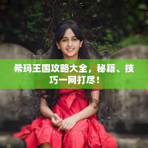 希玛王国攻略大全，秘籍、技巧一网打尽！