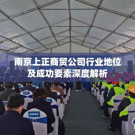 南京上正商贸公司行业地位及成功要素深度解析