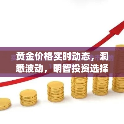黄金价格实时动态,洞悉波动,明智投资选择