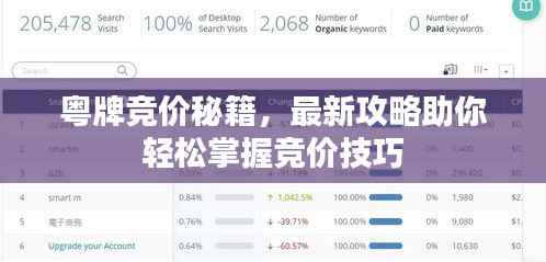 粤牌竞价秘籍,最新攻略助你轻松掌握竞价技巧