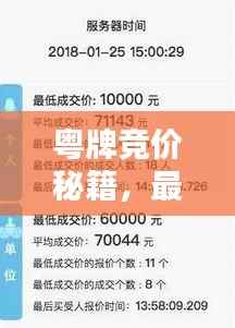 粤牌竞价秘籍,最新攻略助你轻松掌握竞价技巧