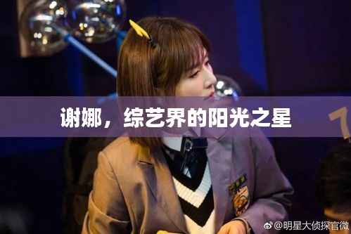 谢娜,综艺界的阳光之星