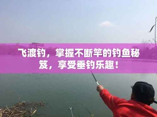 飞渡钓,掌握不断竿的钓鱼秘笈,享受垂钓乐趣!