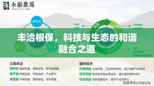 丰洽根保，科技与生态的和谐融合之道