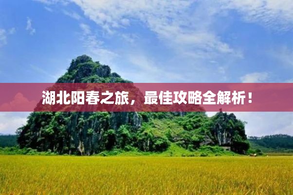 湖北阳春之旅,最佳攻略全解析!