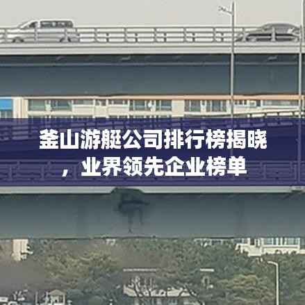 釜山游艇公司排行榜揭晓，业界领先企业榜单