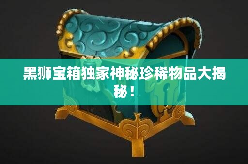 黑狮宝箱独家神秘珍稀物品大揭秘!