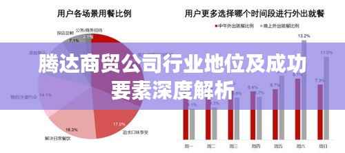 腾达商贸公司行业地位及成功要素深度解析