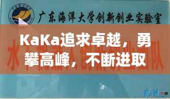 KaKa追求卓越,勇攀高峰,不断进取之旅