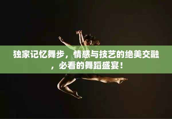 独家记忆舞步,情感与技艺的绝美交融,必看的舞蹈盛宴!
