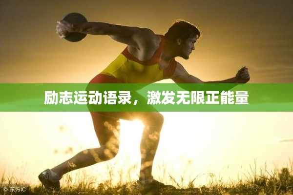 励志运动语录,激发无限正能量