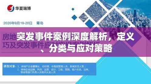 突发事件案例深度解析,定义、分类与应对策略