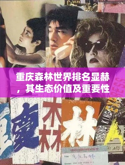 重庆森林世界排名显赫，其生态价值及重要性不可估量