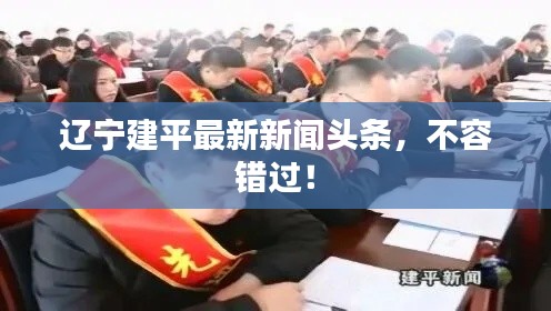 辽宁建平最新新闻头条,不容错过!
