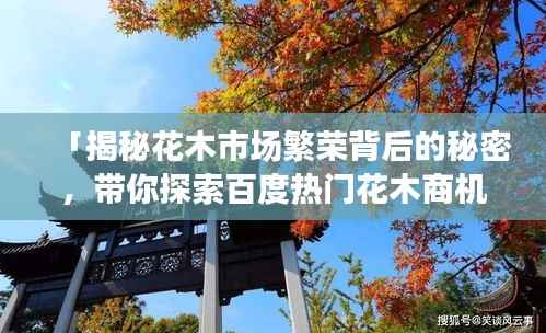 「揭秘花木市场繁荣背后的秘密,带你探索百度热门花木商机!」