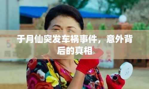 于月仙突发车祸事件,意外背后的真相