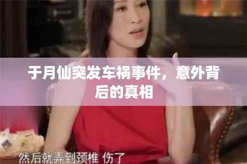 于月仙突发车祸事件,意外背后的真相