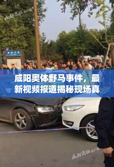 咸阳奥体野马事件,最新视频报道揭秘现场真相