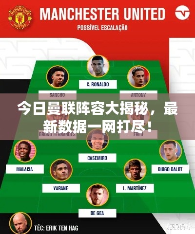 今日曼联阵容大揭秘,最新数据一网打尽!